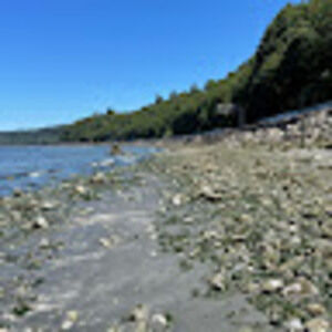 Meet your Posher, Isabella